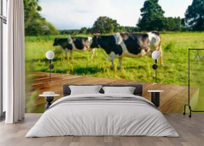 desk of free spac and cow on grass  Wall mural