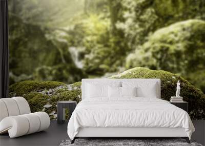 free space for your product on rock with moss and landscape of autumn forest  Wall mural