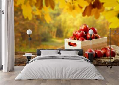 Fresh red apples in wooden box and free space for your decoration  Wall mural