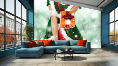 green elf and snow and space for your text  Wall mural