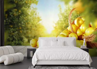 lemon fruits  Wall mural