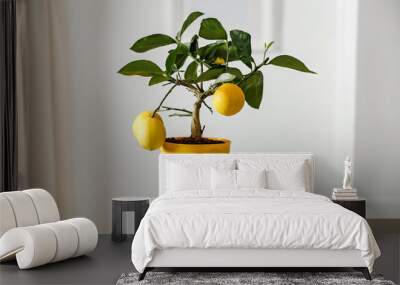 Lemon tree in yellow flowerpot in bright white colors with picture frame with blurred white wall background. Nice delicate decorations on small white table. Wall mural