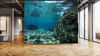 Underwater background with ocean water. At the bottom of the sea. Wall mural