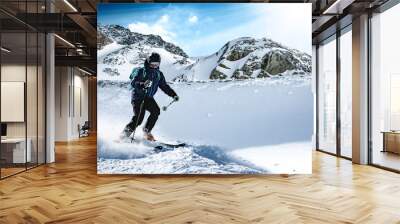 winter skier  Wall mural