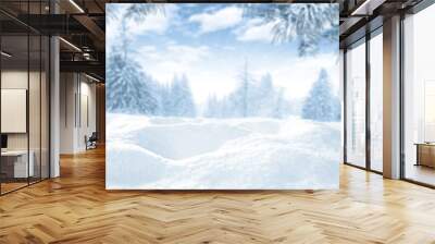 winter time and snow space  Wall mural