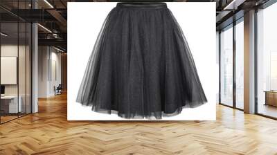 Black tulle ballerina skirt isolated on white Wall mural