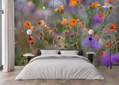 Geum tangerine  with fairy lights, shallow depth of field Wall mural