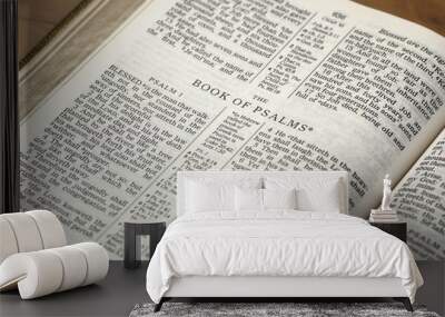 Holy Bible opened on the Book of Psalms Wall mural