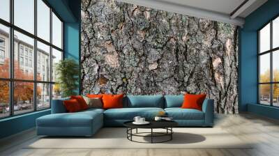 Relief rustic texture of the brown bark of a tree with green moss and lichen on it Wall mural