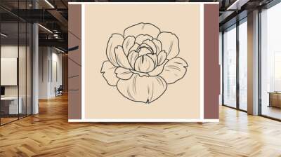 Set templates with line drawings of flower bud, woman body in black swimsuit or lingerie. Hand drawn minimalism art.  Wall mural