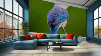 Blue bird on banana leaf Wall mural