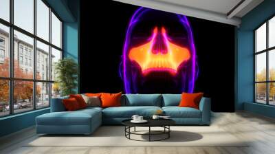 Human Skeleton System Skull Bone Joints Maxilla Bone Anatomy Wall mural