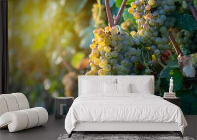 Bunch of Ripe Vineyard Grapes. Grapes Wineries. Wall mural