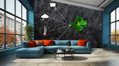 Flat lay of young growing plant with icon of watering shower, fertiliser, thermometer and raincloud for planting technology concept Wall mural