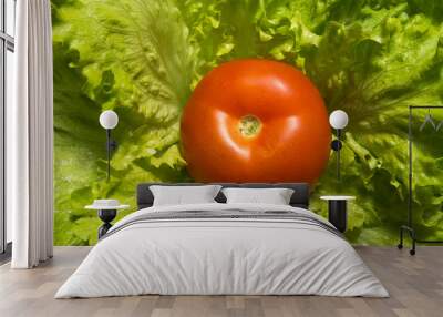 Fresh tomatoes surrounded by lettuce. Wall mural