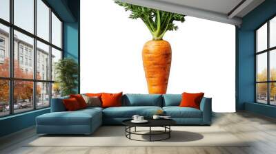 Carrot isolated on a transparent background png file no background_1 png file Wall mural