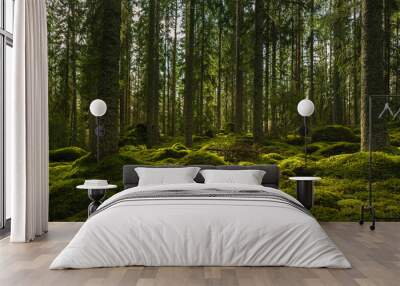 Beautiful green fir and pine forest in Sweden Wall mural