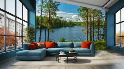 Lush green view from a small lake in a forest in Sweden Wall mural