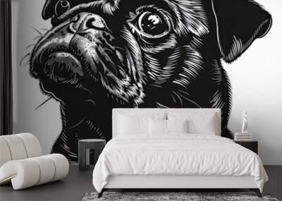 A black and white drawing of a pug dog Wall mural