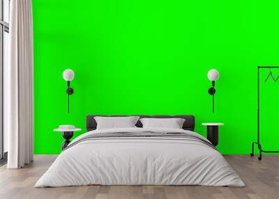 Green screen chroma key background Wall mural