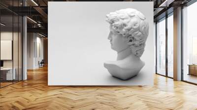 Gypsum statue of David's head. Michelangelo's David statue plaster copy on grey background with copyspace for text. Ancient greek sculpture, statue of hero Wall mural