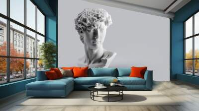 Gypsum statue of David's head. Michelangelo's David statue plaster copy on grey background with copyspace for text. Ancient greek sculpture, statue of hero Wall mural