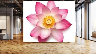 beautiful pink lotus flower top view isolated on white background. Generative Ai Wall mural