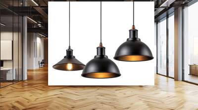 Set of pendant ceiling lamp shades isolated on a transparent background 
 Wall mural