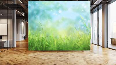 Sunny spring meadow blur background; gradient from blue sky to green grass. Wall mural