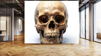 skull on white background Wall mural