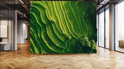 Aerial drone view of a terraced rice field.

 Wall mural