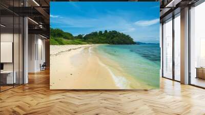 Beautiful beach at Seychelles, Praslin island Wall mural