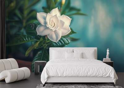 Beautiful white jasmine flower in a pot on the table Wall mural