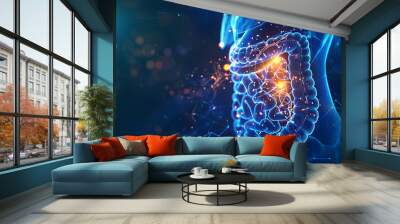 Human digestive system anatomy on blue color background. 3d illustration design Wall mural