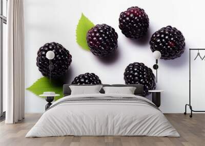 Blackberrys isolated on white background Wall mural