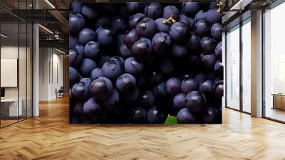 Fresh ripe Black grapess as background Wall mural