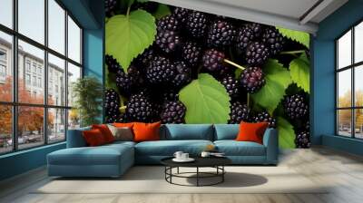 Fresh ripe Mulberrys as background Wall mural