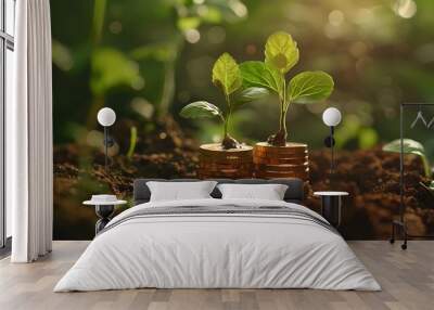 Growing plant on coins with sun light background Wall mural