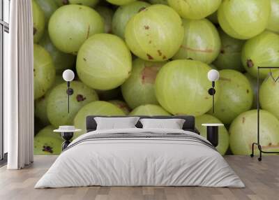 Indian gooseberry Amla Background. Green Healthy Food Wall mural