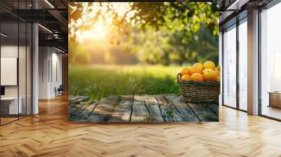 basket full of fresh summer mangoes on Wooden table top with blur nature farm and mango trees background, Fresh and Relax concept montage product display or design visual layout.View of copy space. Wall mural