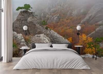 Rocks and autumn forest Wall mural