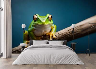 frog on a leaf Wall mural