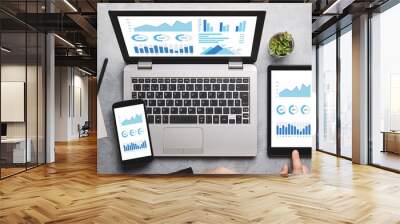 Graphs and charts elements on laptop, tablet and smartphone screen Wall mural