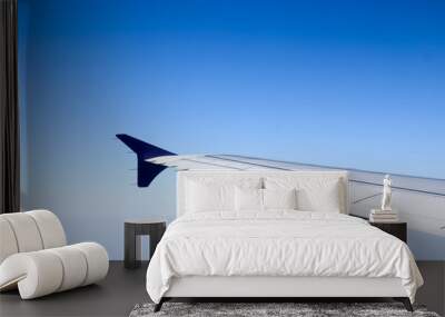 On flight, in the blue sky background Wall mural