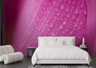 Wet Lotus Wall mural