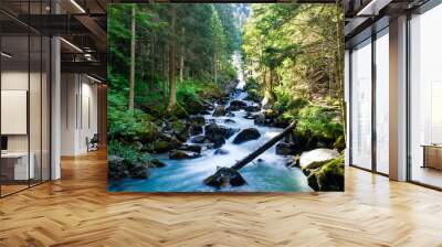 waterfall landscape forest in trentino with dolomiti mountain Wall mural