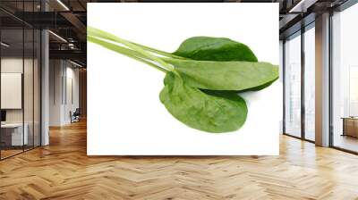 Green spinach leaves on white background Wall mural