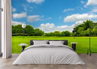 Green field, tree and blue sky.Great as a background,web banner Wall mural