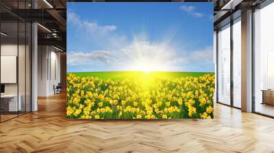 Spring meadow and sun Wall mural