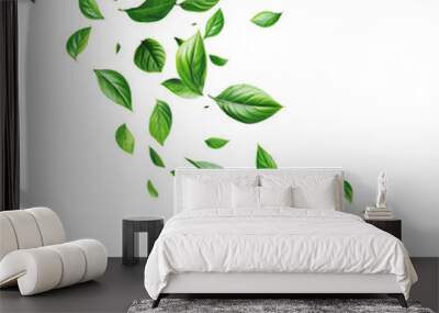 green single leaves floating isolated on transparent background, earth day Wall mural